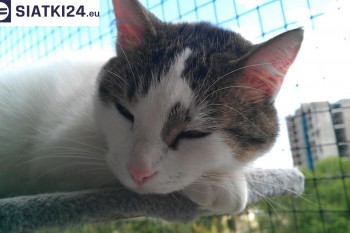 Siatki Błonie - Siatka na balkony dla kota i zabezpieczenie dzieci dla terenów Błonie